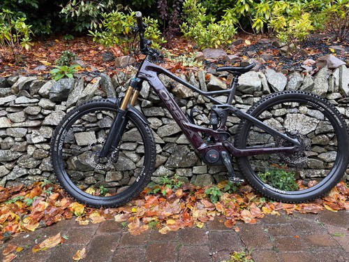 Orbea wild m10 size - wild,